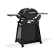 Gassgrill Weber Q2800N+ Med Stativ