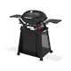 Gassgrill Weber Q2800N+ Med Stativ