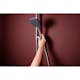 Takduschset Hansgrohe Raindance Alive S Puro Showerpipe 300 1jet EcoSmart 150 cc
