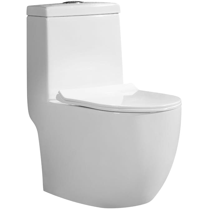 Toalett Lyfco 01