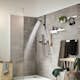 Handdusch Hansgrohe Pulsify S 105 1jet Green