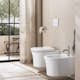 Vegghengt Toalett Duravit White Tulip uten Toalettsete