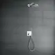 Huvuddusch Hansgrohe Raindance Select S 300 2-jet för Väggmonterad
