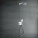 Huvuddusch Hansgrohe Raindance Select S 300 2-jet för Väggmonterad
