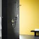 Duschblandare Hansgrohe Metris Rund