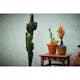 Tapet Living Walls New Walls 37423-4