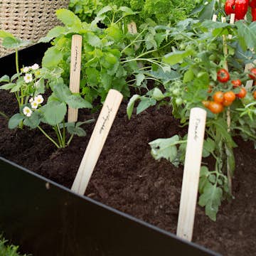 Plantekasse Jabo Odla