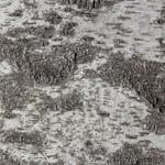 Veggpanel Emotionwood Birch 600