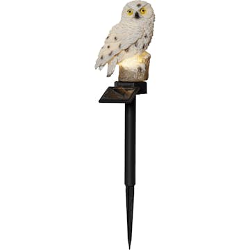 Solcelledekorasjon Star Trading Owl LED Solcellelampe