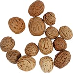 Nøtter Creativ Company 25 g/1 Pk