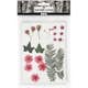 Tørkede Creativ Company Blomster og Blader Lysrød 19 Mix/1 Pk