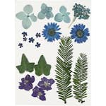 Tørkede Creativ Company Blomster og Blader Blå 19 Mix/1 Pk