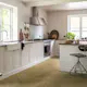 Vinylgulv Pergo Vorma Pad Pro Beig Norwegian Oak