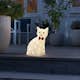 Lysdekorasjon Gnosjö Konstsmide Sittende Katt Akryl 34cm LED