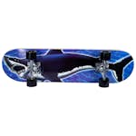 Skateboard Sandbar Hai