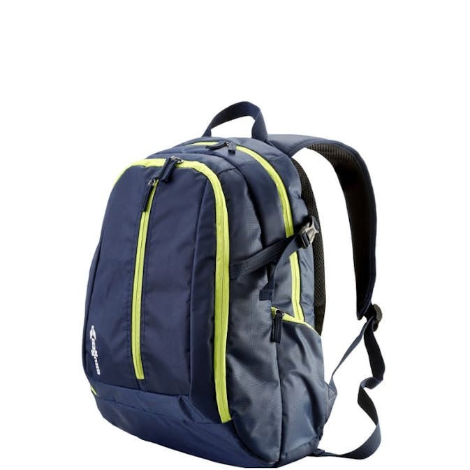 Kjølebag Brunner Friobag Daypack 20l
