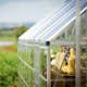 Drivhus Canopia av Palram Balance 14,3 m² Sølv
