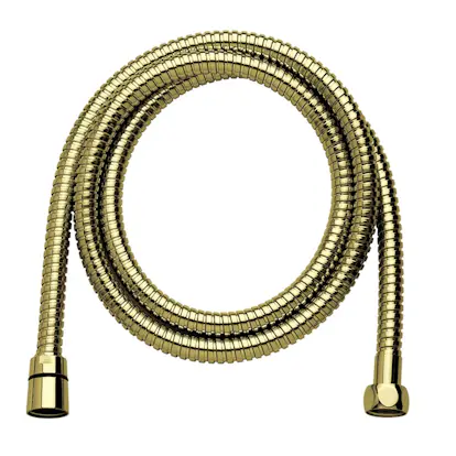 Duschslang Damixa 1750 mm