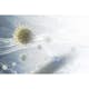 Partikkelfilter Electrolux Ultrafine Particle Filter Pure 500