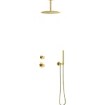 Komplett Takdusjsett Damixa Iris DS2 for Innbygging