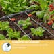 Dryppfordeler Gardena Micro-Drip Inline 2 l/h Trykkregulerende