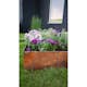 Plantekasse Jabo Dyrk 80x40x40 cm