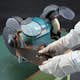 Benksliper Makita GB602W