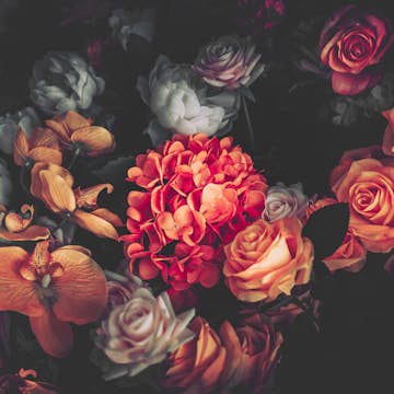 Fototapet Living Walls Designwalls DD118510