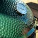 Kullgrilll Big Green Egg Medium