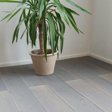 Massivt Tregulv Eden Wood Pearl Grey