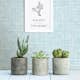 Tapet A Street Prints Linen FD24276