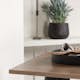 Spisegruppe Venture Home Tempe 60 cm med 2 Adesto Stoler