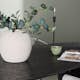 Spisegruppe Venture Home Isolde med 4 stk Evelina Stoler
