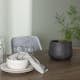Spisegruppe Venture Home Andy med 4 stk Rosie Stoler
