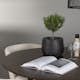 Spisegruppe Venture Home Kaseidon Ø100 cm med 4 stk Edina Stoler