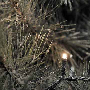 Lyslenke Gnosjö Konstsmide 200 stk Mikro LED