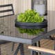 Spisegruppe Venture Home Douglas med 6 Brasilia Stablebare Lenestoler