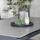 Spisegruppe Venture Home Lova med 4 Aspen Spisestoler