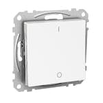 Strømbryter Schneider Electric Exxact 2-polet Innfelt