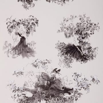 Tapet Mimou Toile Mesdames Black