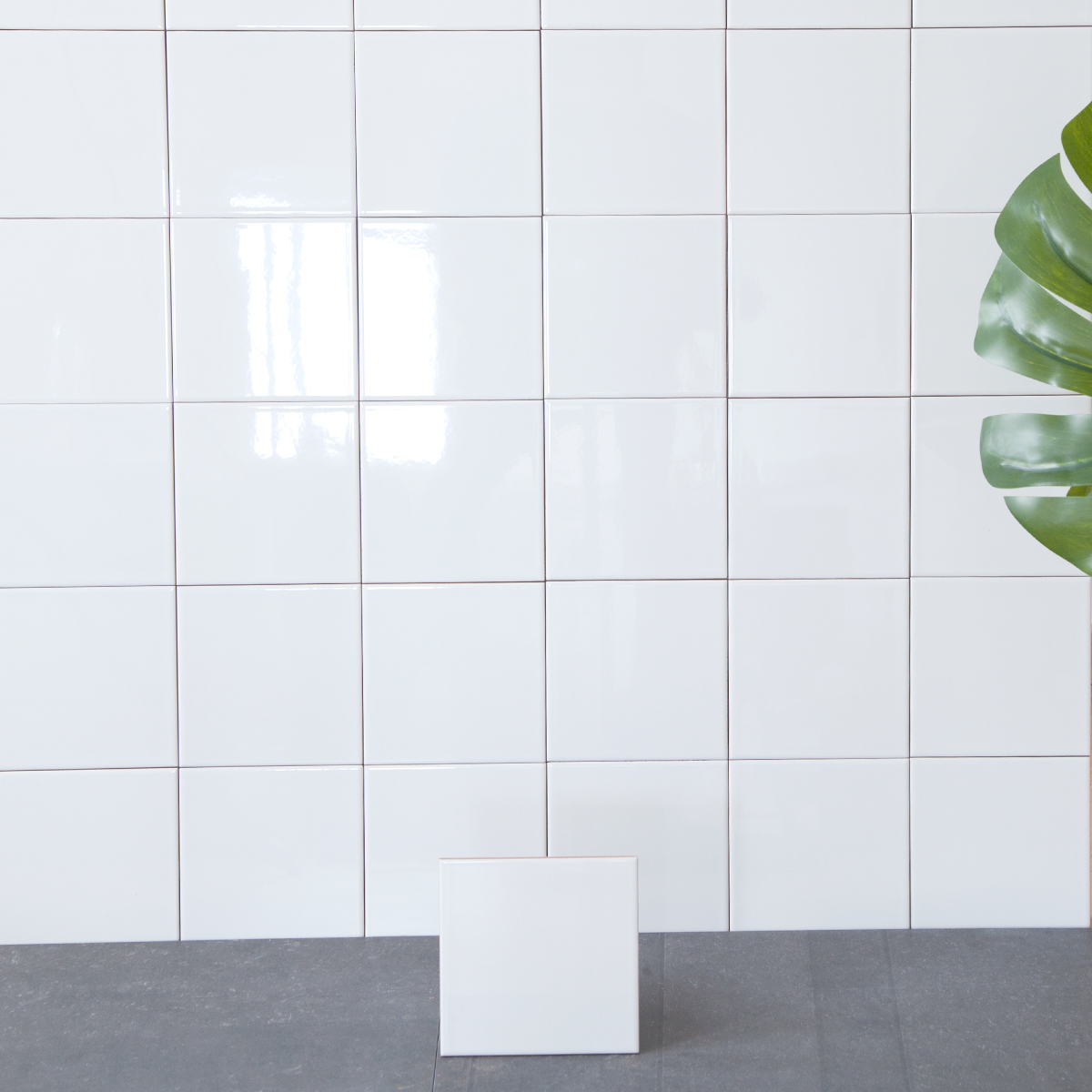 Flis Arredo Color Hvit Blank 15X15 cm