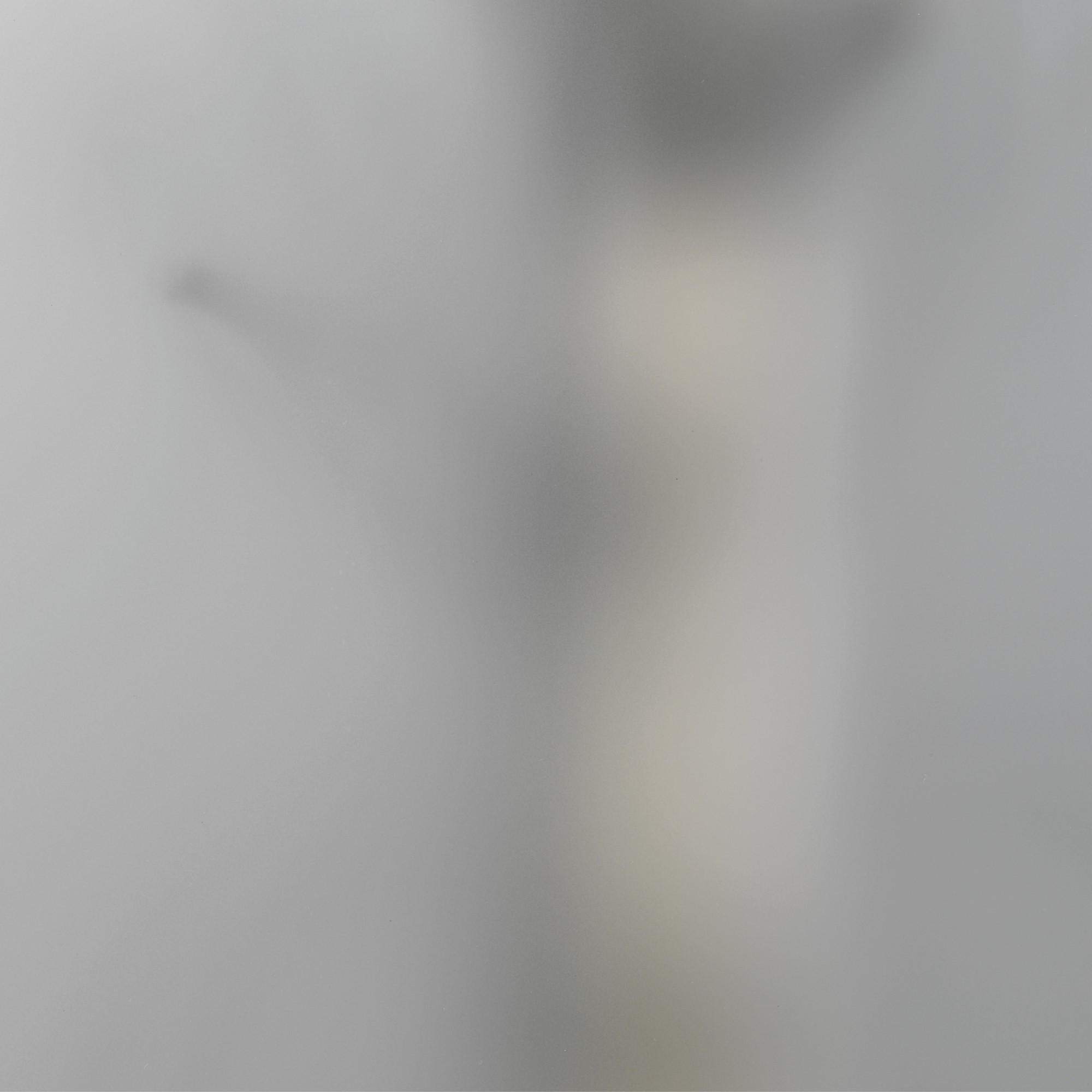 Glassbytte Frostet Glass Swedoor Innerdør