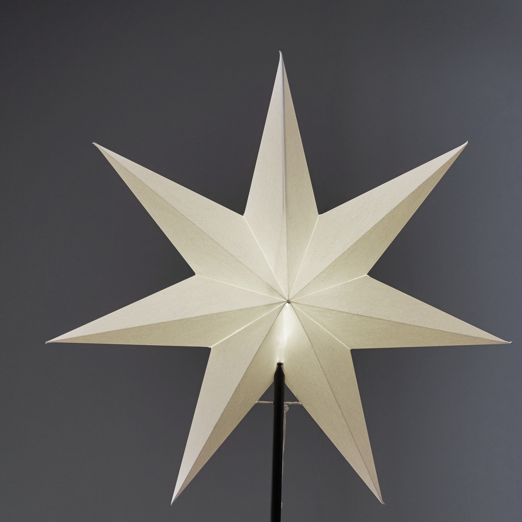 Adventsstjerne Star Trading Frozen Papir