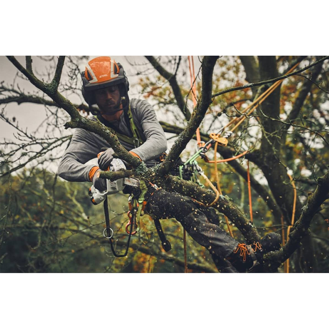 Batteridrevet Grensag STIHL GTA 40 Kit