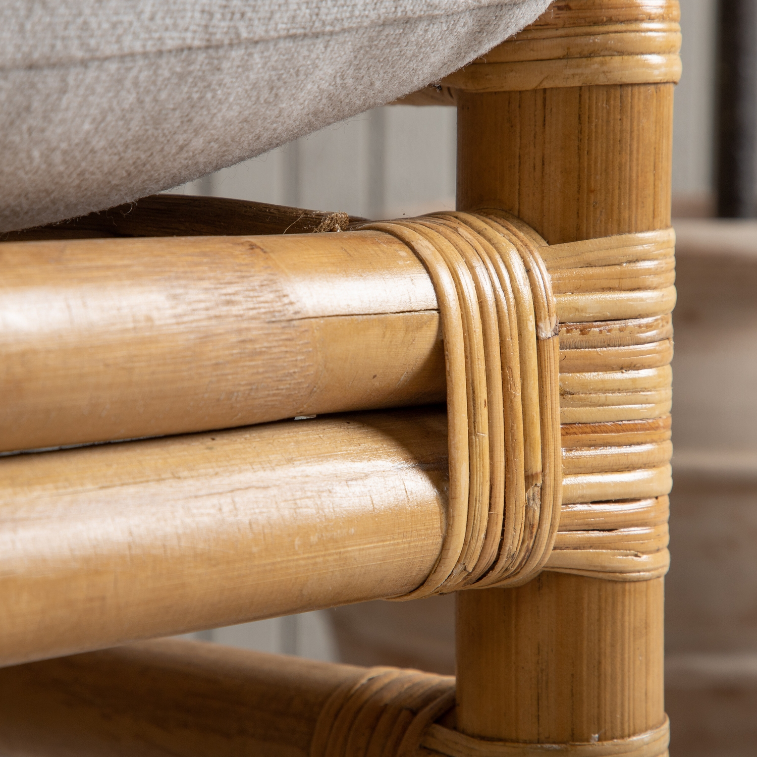 Lenestol Venture Home Cane