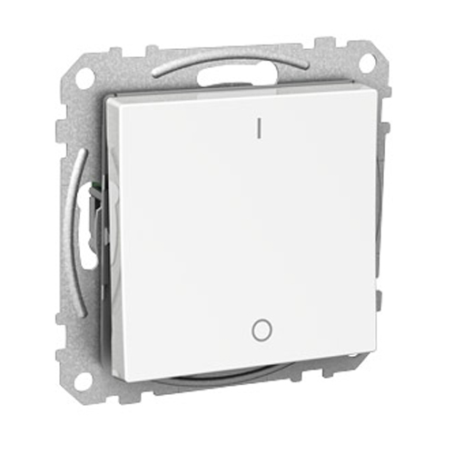 Strømbryter Schneider Electric Exxact 2-polet Innfelt