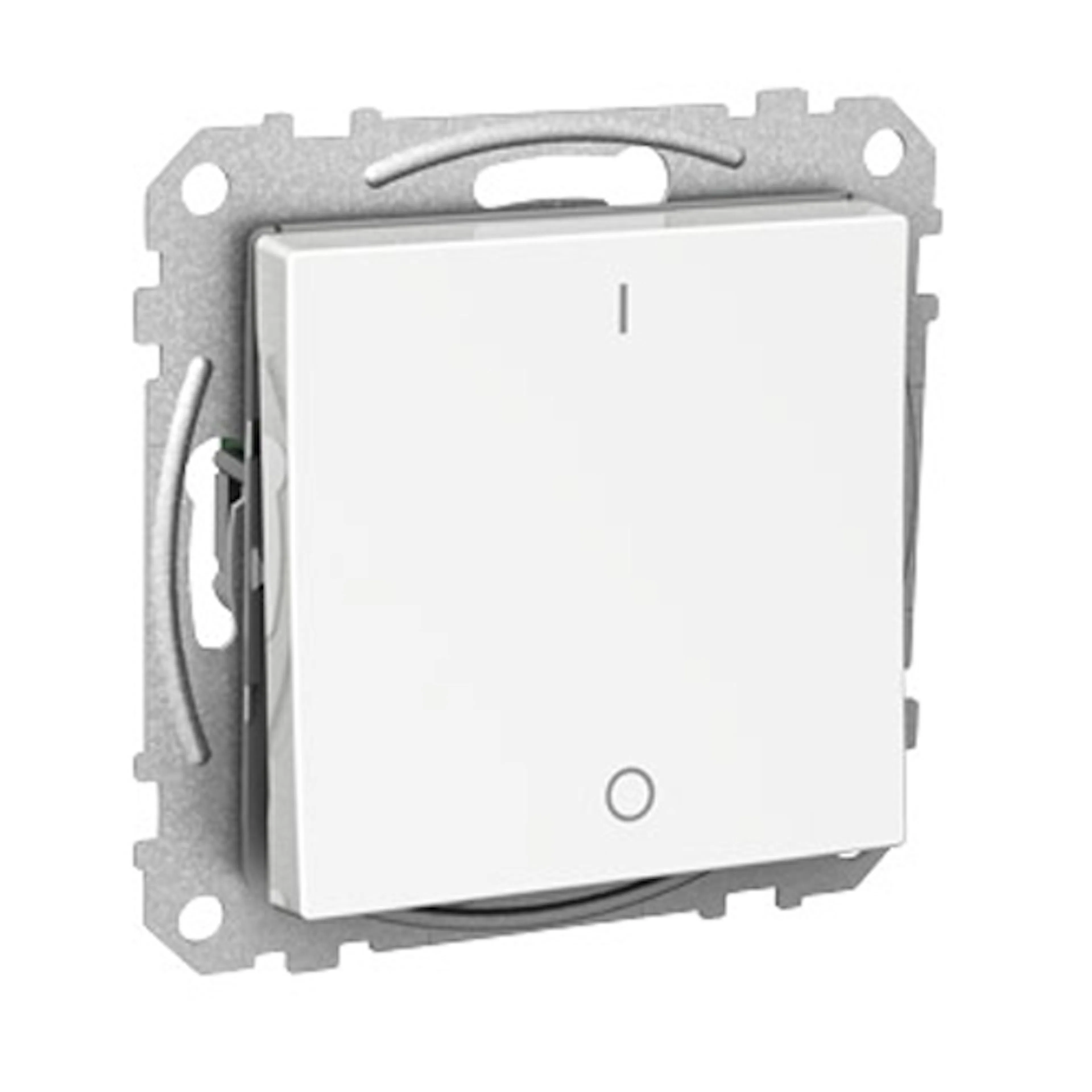 Strømbryter Schneider Electric Exxact 2-polet Innfelt