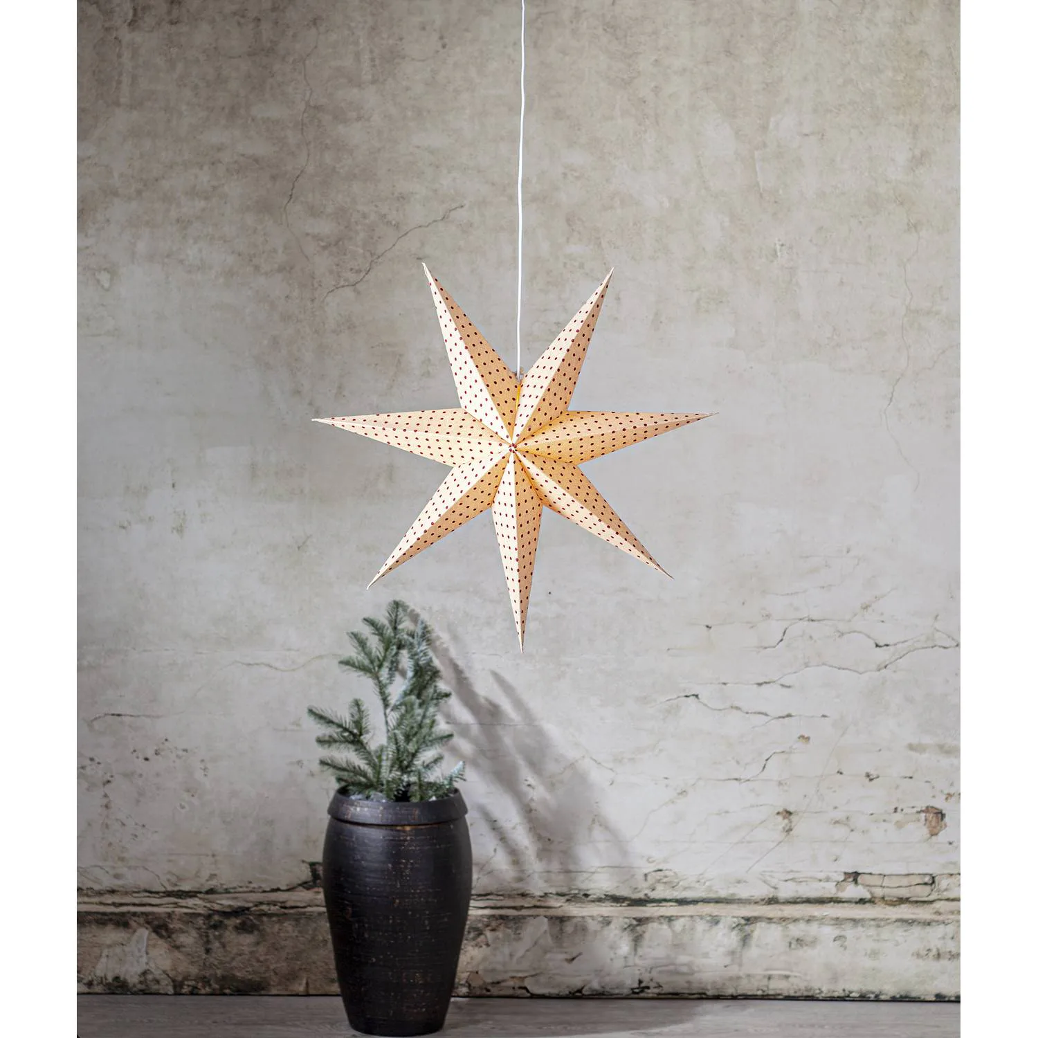 Adventstjerne Star Trading Cotton Prikk Beige/Rød Prikk