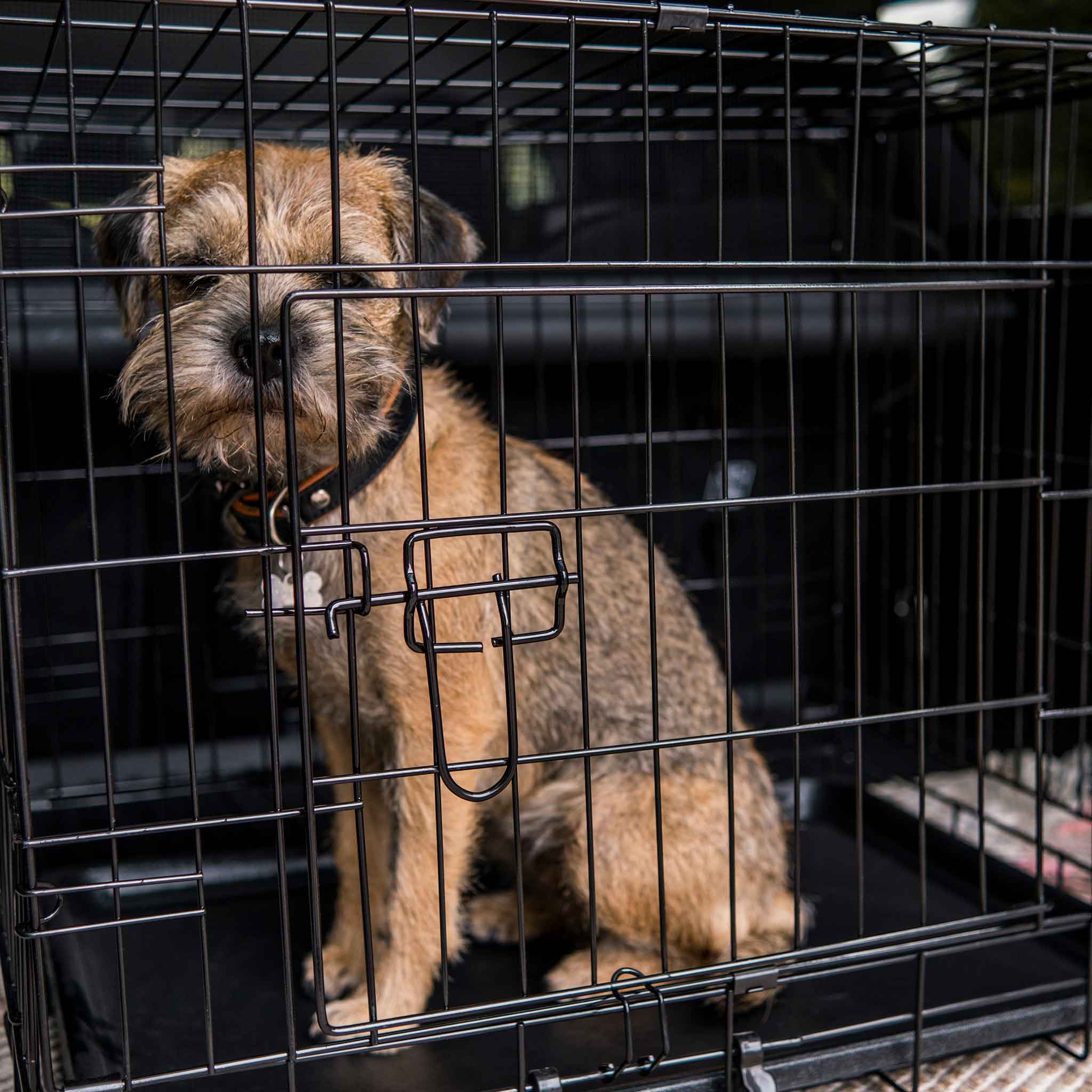 Hundebur Trekker Lettmetall M