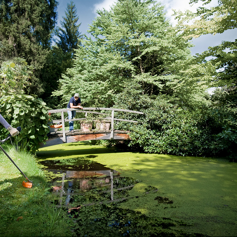 Gresstrimmer STIHL FS 55
